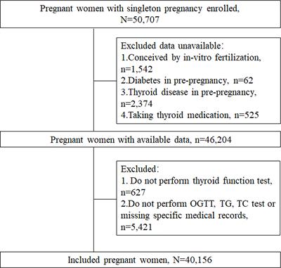 Association of maternal triglyceride responses to thyroid function in early pregnancy with gestational diabetes mellitus